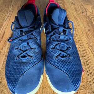 Lebron James 14's Low Midnight, size 13